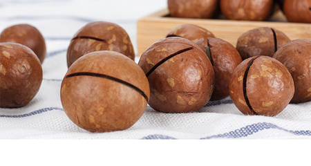 森林老爹堅(jiān)果代工廠 一站式堅(jiān)果貼牌代工，賦能品牌成長(zhǎng)